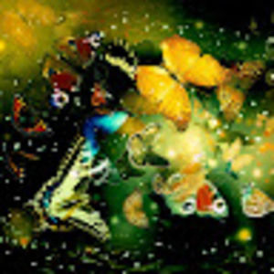 Meet your Posher, Toni